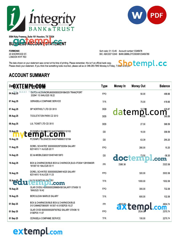 USA Integrity firm account statement Word and PDF template